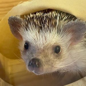 Meet your Posher, Heather